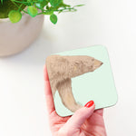 Christmas Wildlife Coaster Gift Set